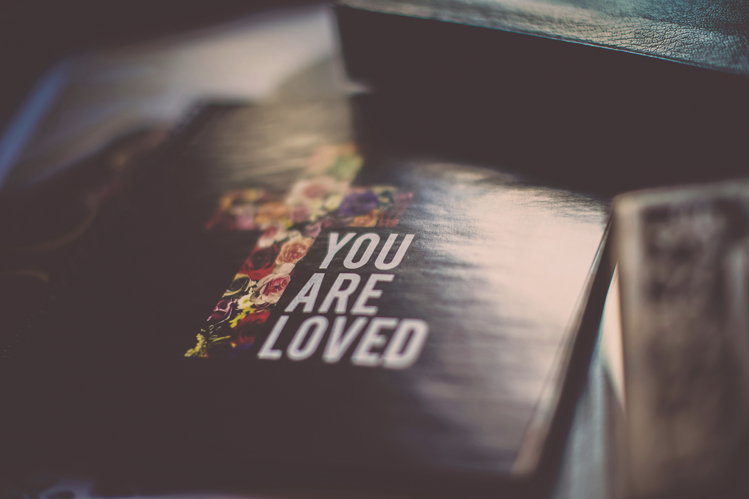 Edified Christian Church Bible